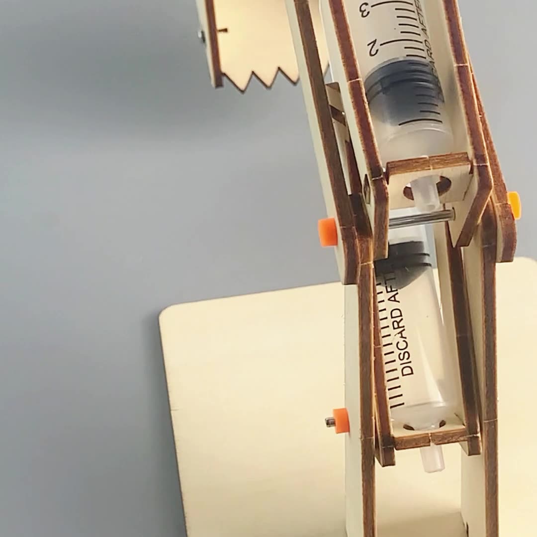 DIY Wooden Hydraulic Excavator Kit for Kids | STEM Science Toy with Video Instructions – Ages 5+