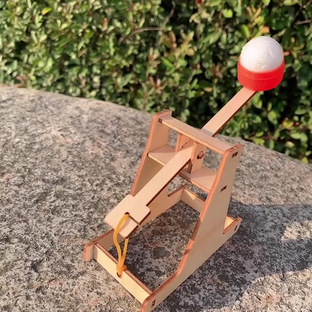DIY Wooden Catapult Kit for Kids | STEM Science Toy with Video Instructions – Ages 5+