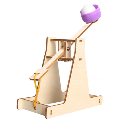 DIY Wooden Catapult Kit for Kids | STEM Science Toy with Video Instructions – Ages 5+