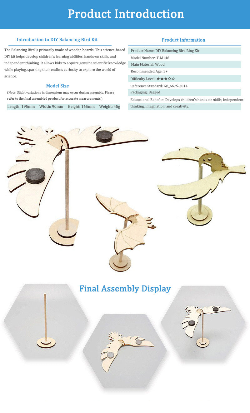 DIY Wooden Balancing Bird Kit for Kids | STEM Science Toy with Video Instructions – Ages 3+